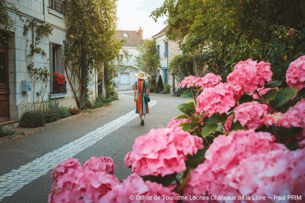 Le Perroquet Bleu Hotel La Chapelle-Blanche-Saint-Martin ภายนอก รูปภาพ